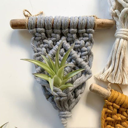 Home Decor Mini Macrame Plant Hangers For Air Plant